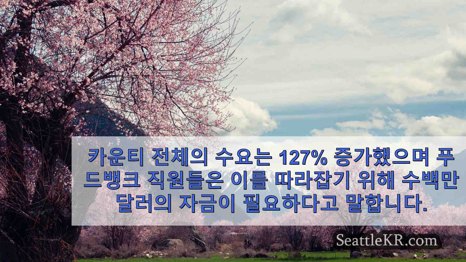 시애틀 뉴스 SeattleKR