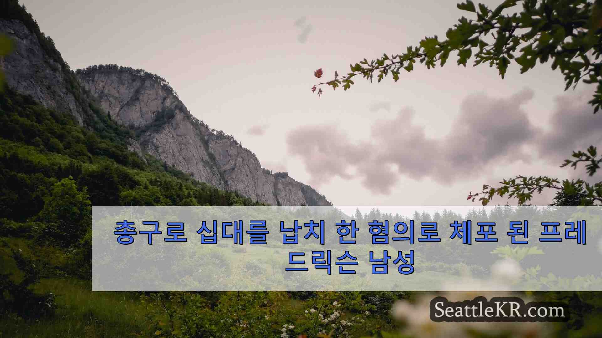 시애틀 뉴스 SeattleKR