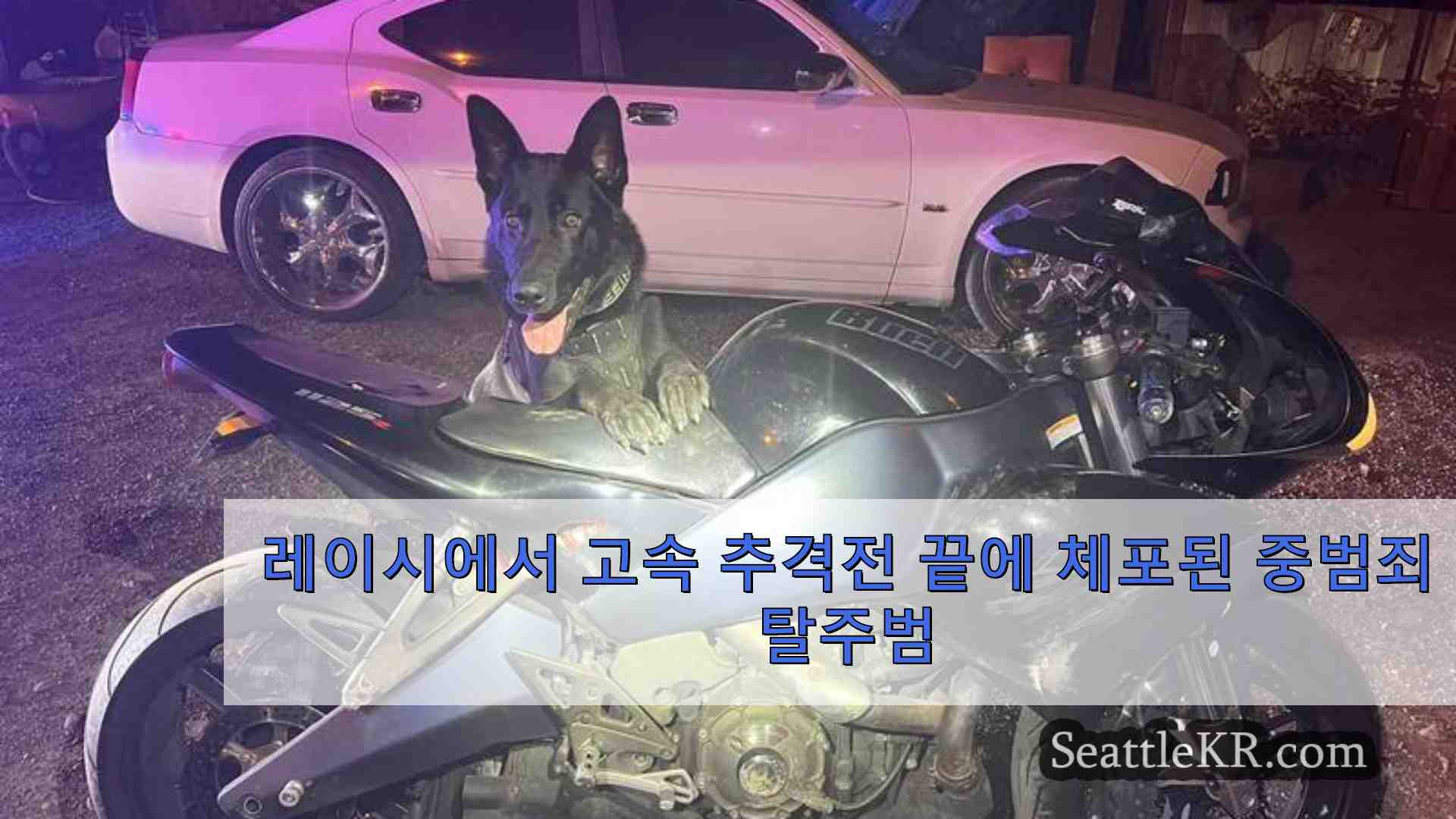 레이시에서 고속 추격전 끝에 체포된 중범죄 탈주범