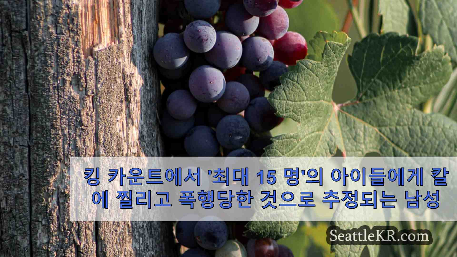 시애틀 뉴스 SeattleKR