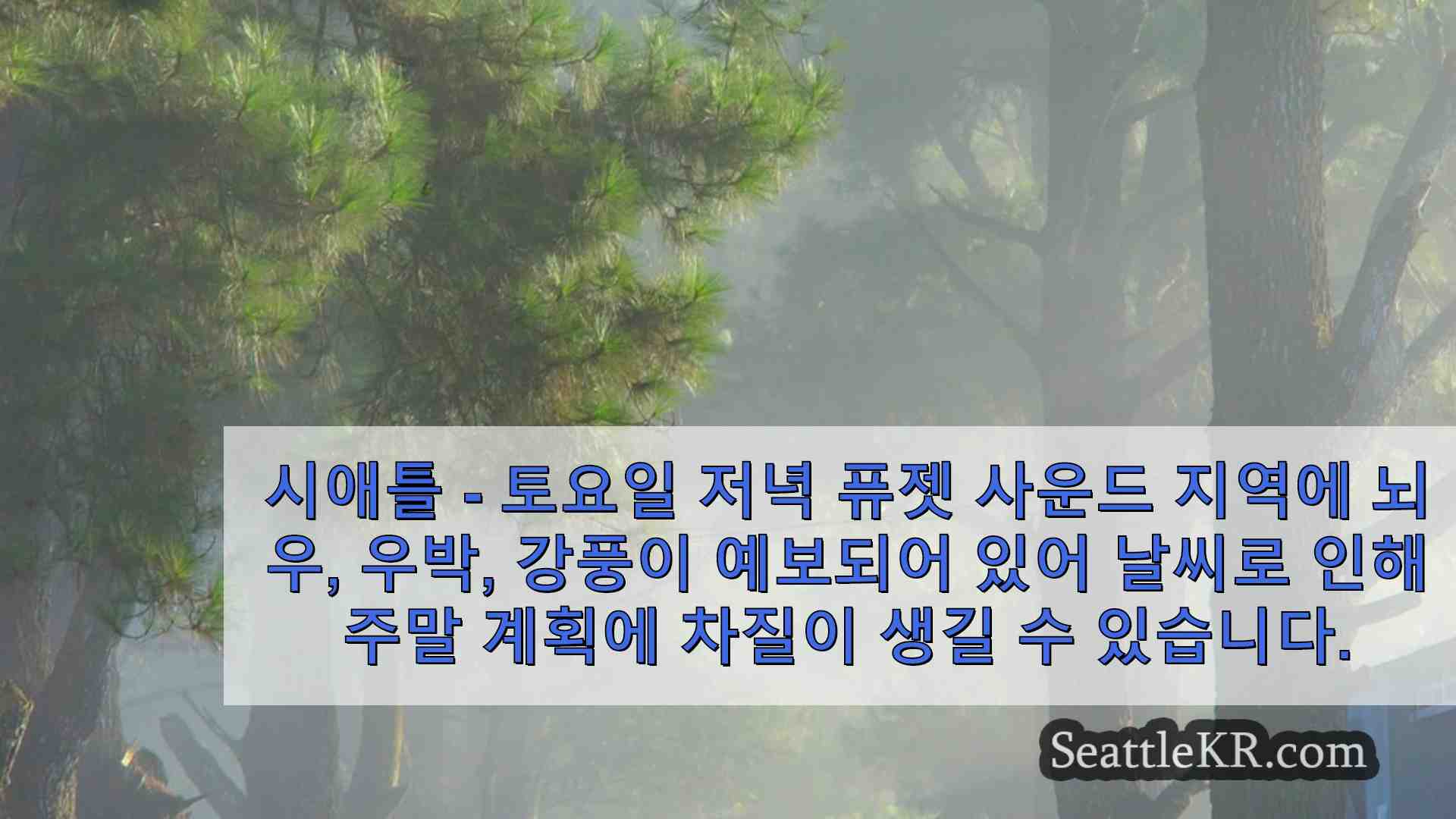 시애틀 뉴스 SeattleKR