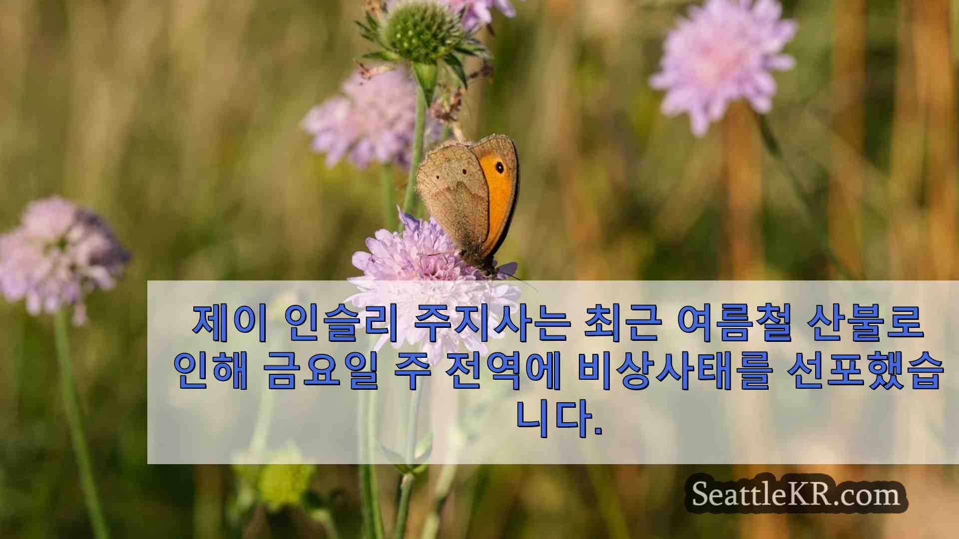 시애틀 뉴스 SeattleKR