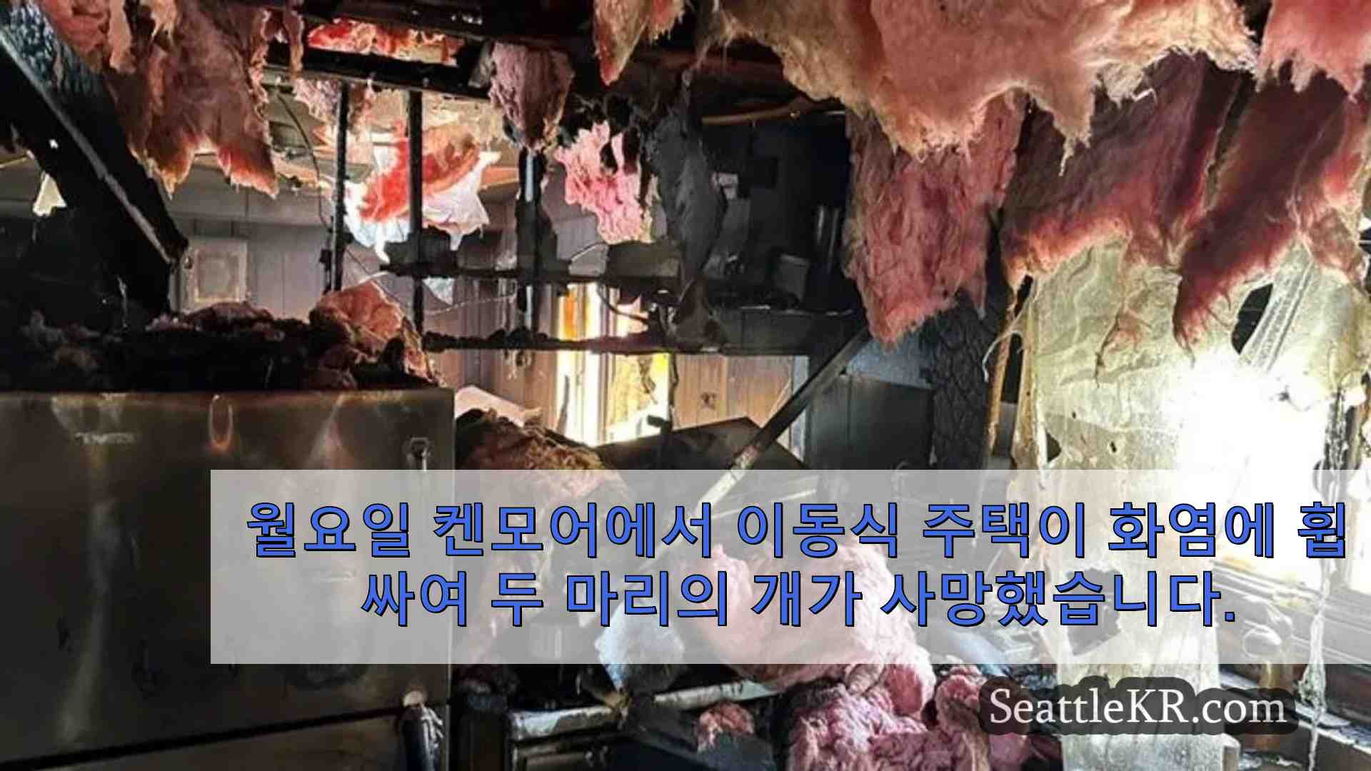 켄모어 이동식 주택 화재로 개 두 마리 사망