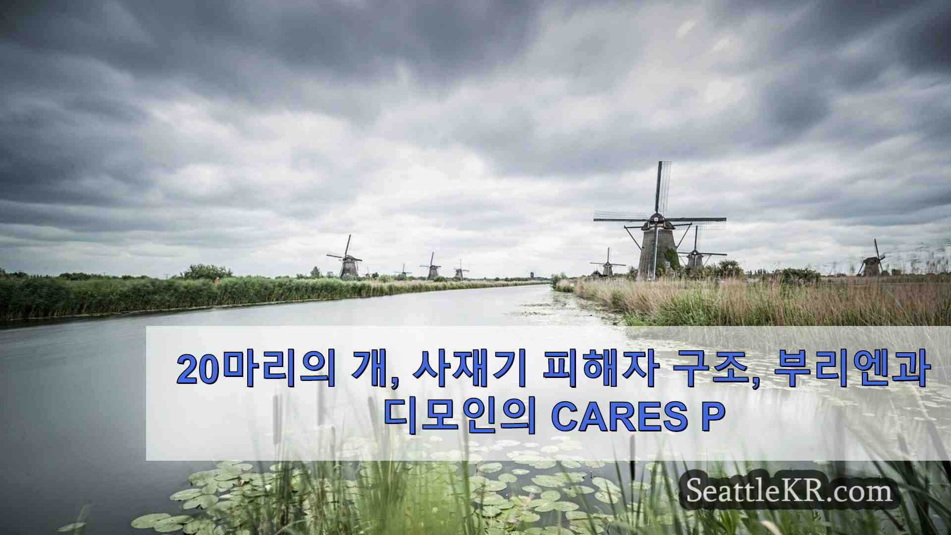 시애틀 뉴스 SeattleKR