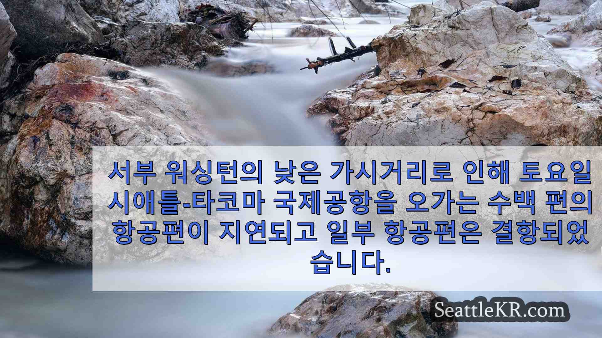 시애틀 뉴스 SeattleKR