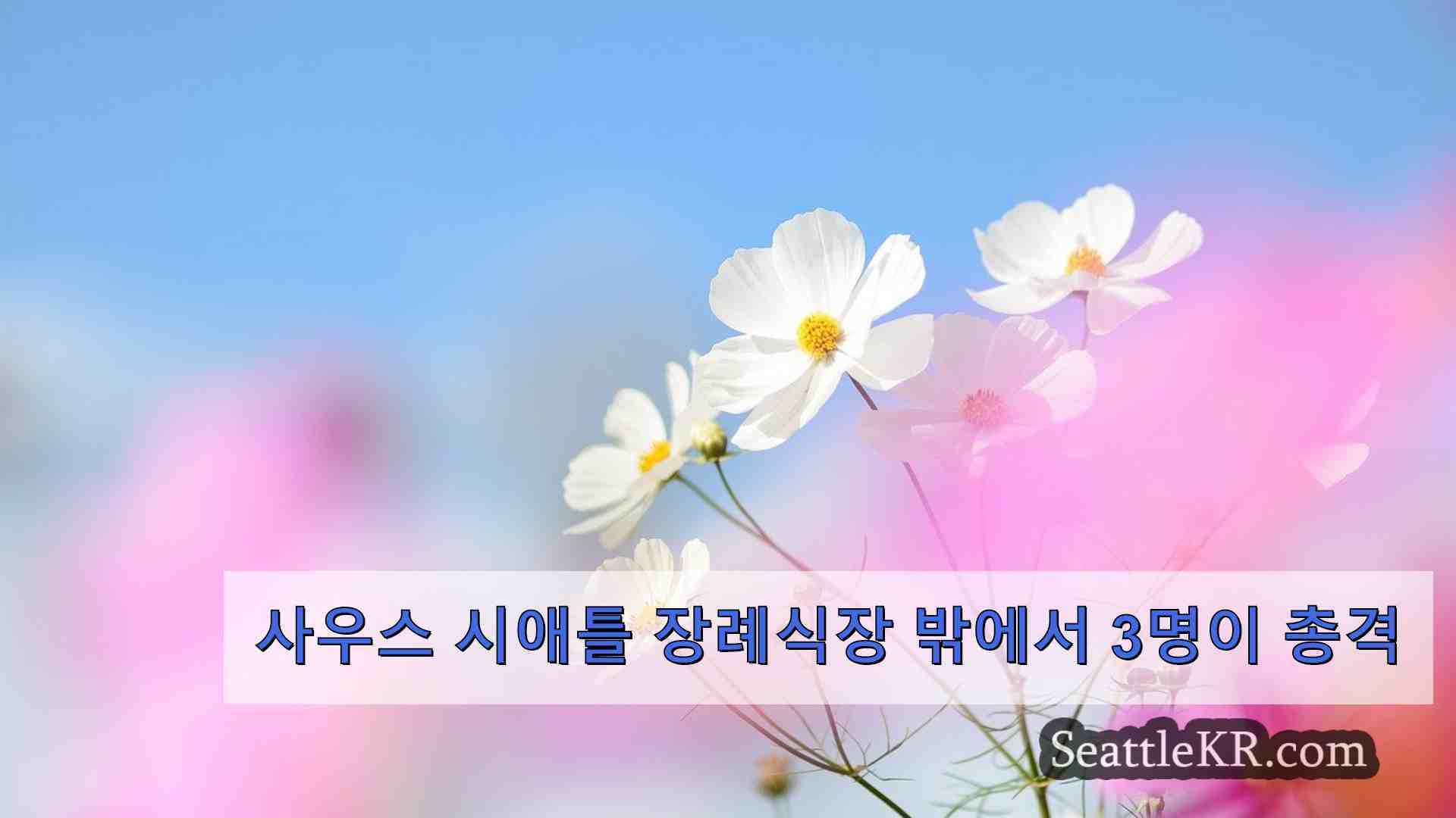 시애틀 뉴스 SeattleKR