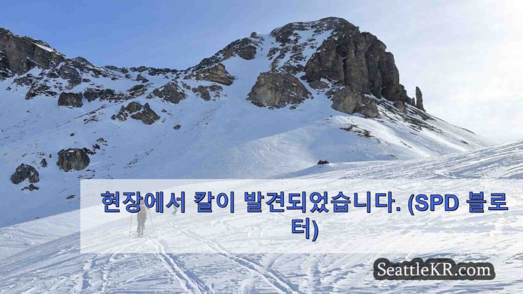 사우스 시애틀에서 칼에 찔린 맹인 노인, SWAT 체포 용의자
