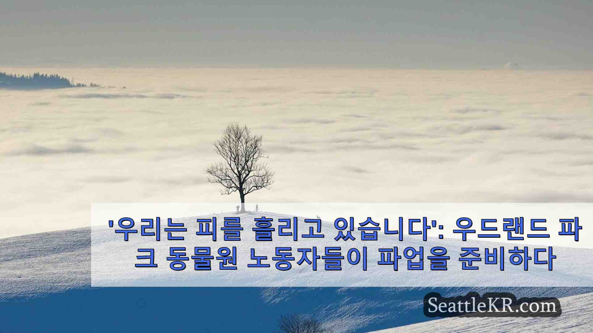 시애틀 뉴스 SeattleKR