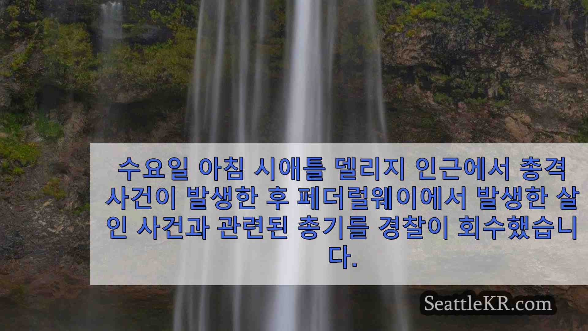 시애틀 뉴스 SeattleKR