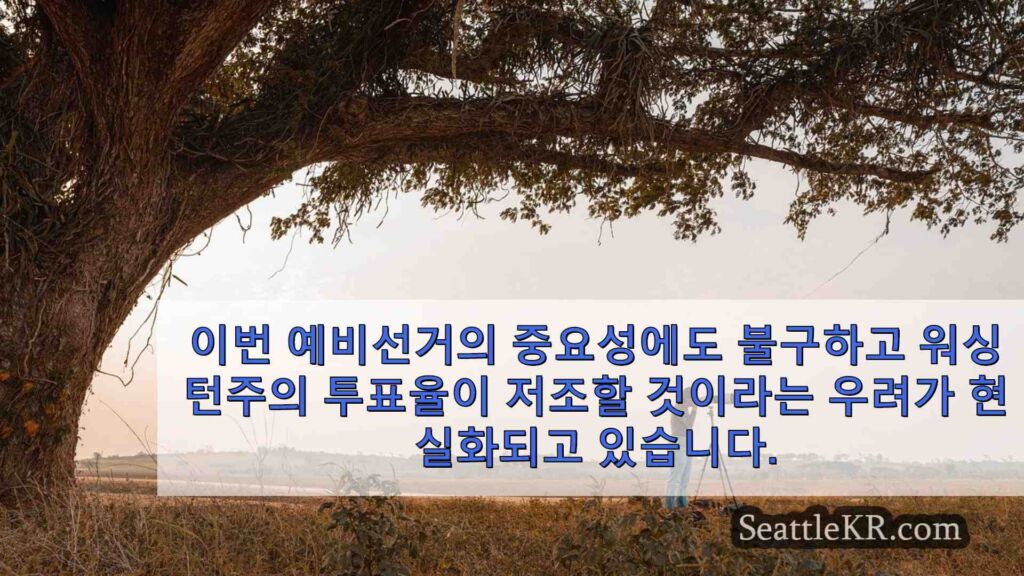 타냐 우, 알렉시스 메르세데스 린크가 시애틀 시의회 선거에서 초반
