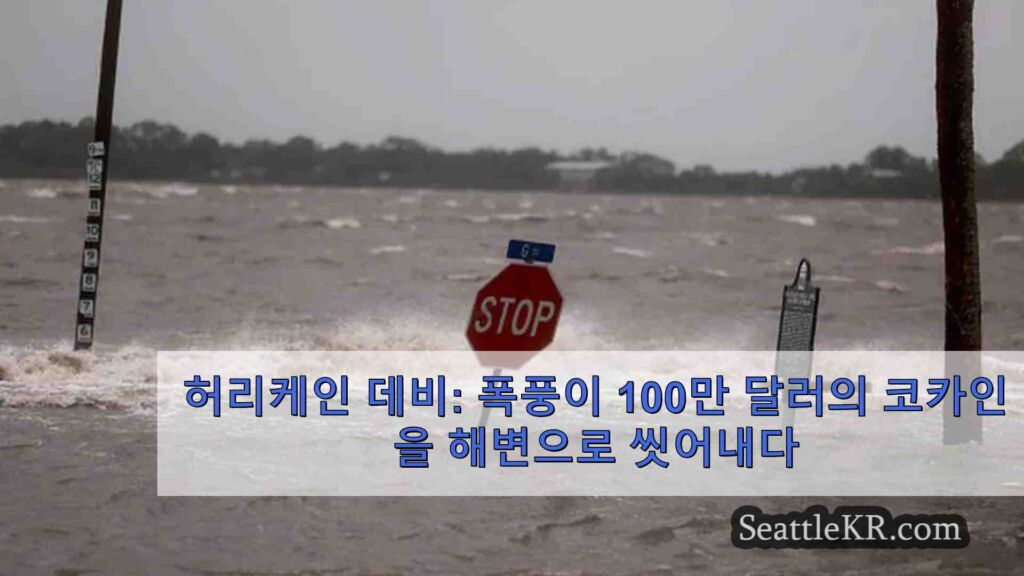 허리케인 데비: 폭풍이 100만 달러의 코카인을 해변으로 씻어내다