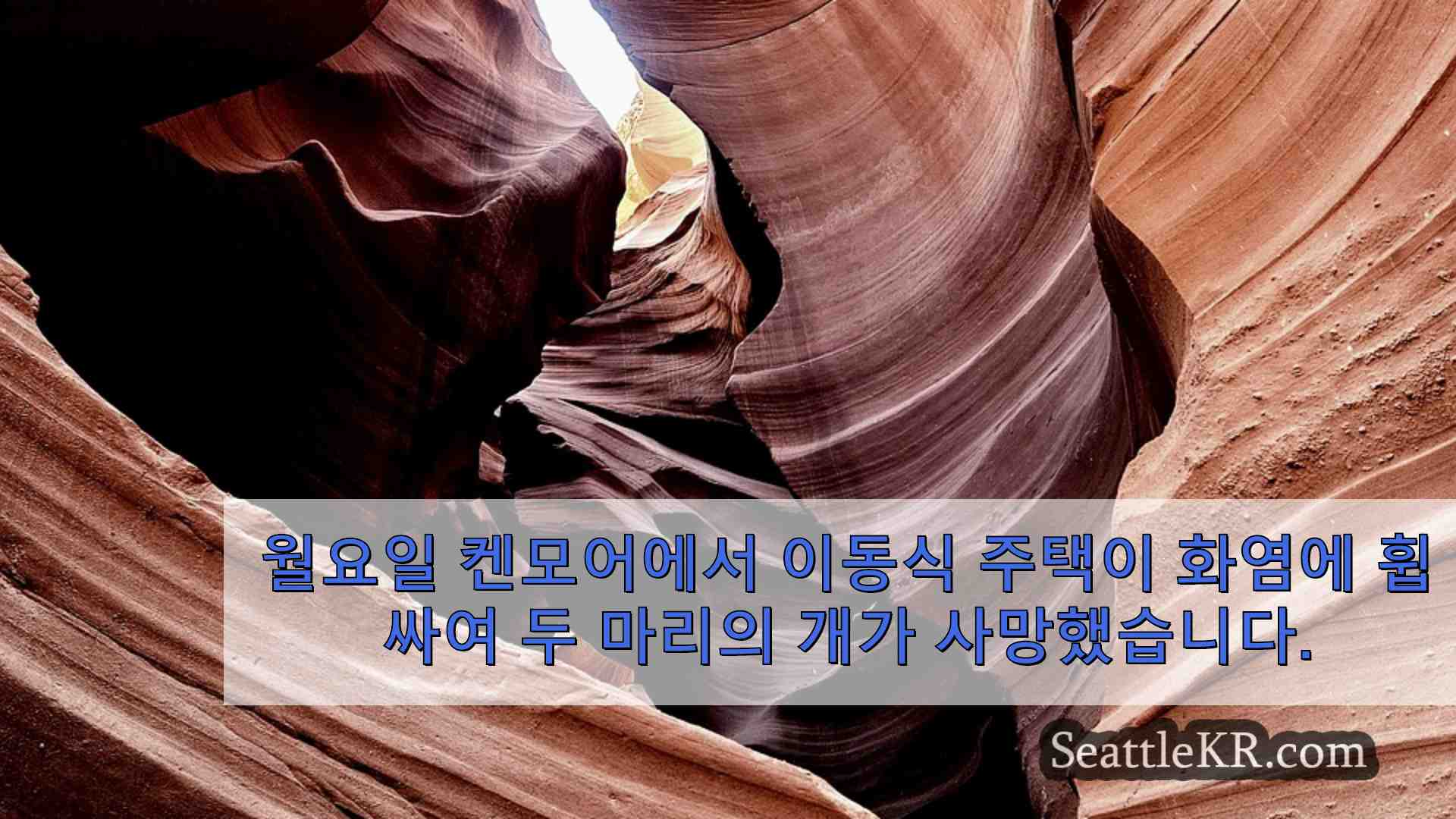 시애틀 뉴스 SeattleKR