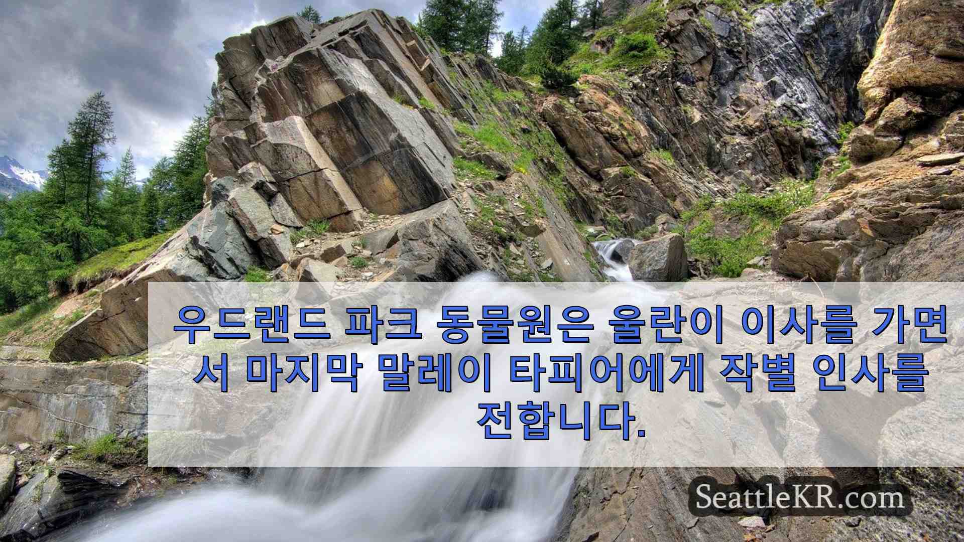시애틀 뉴스 SeattleKR