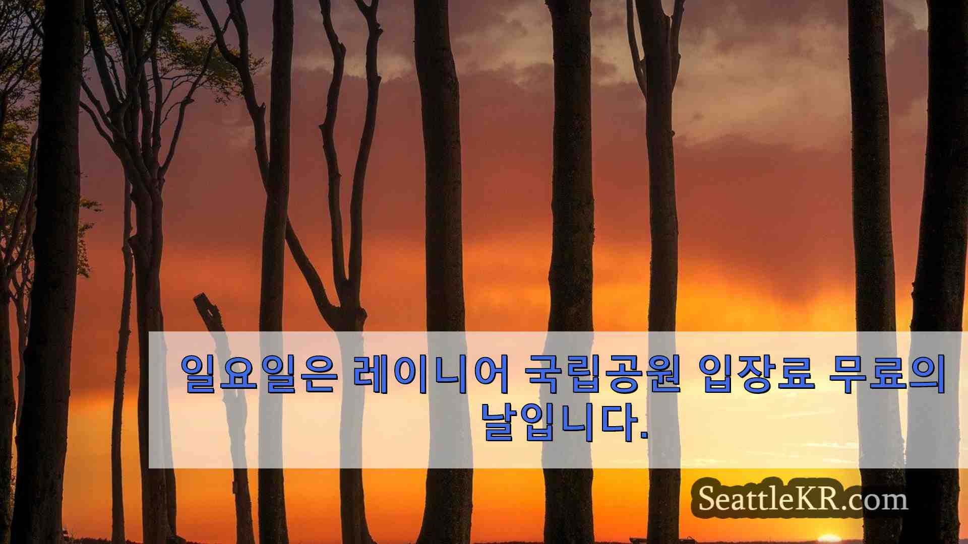 시애틀 뉴스 SeattleKR