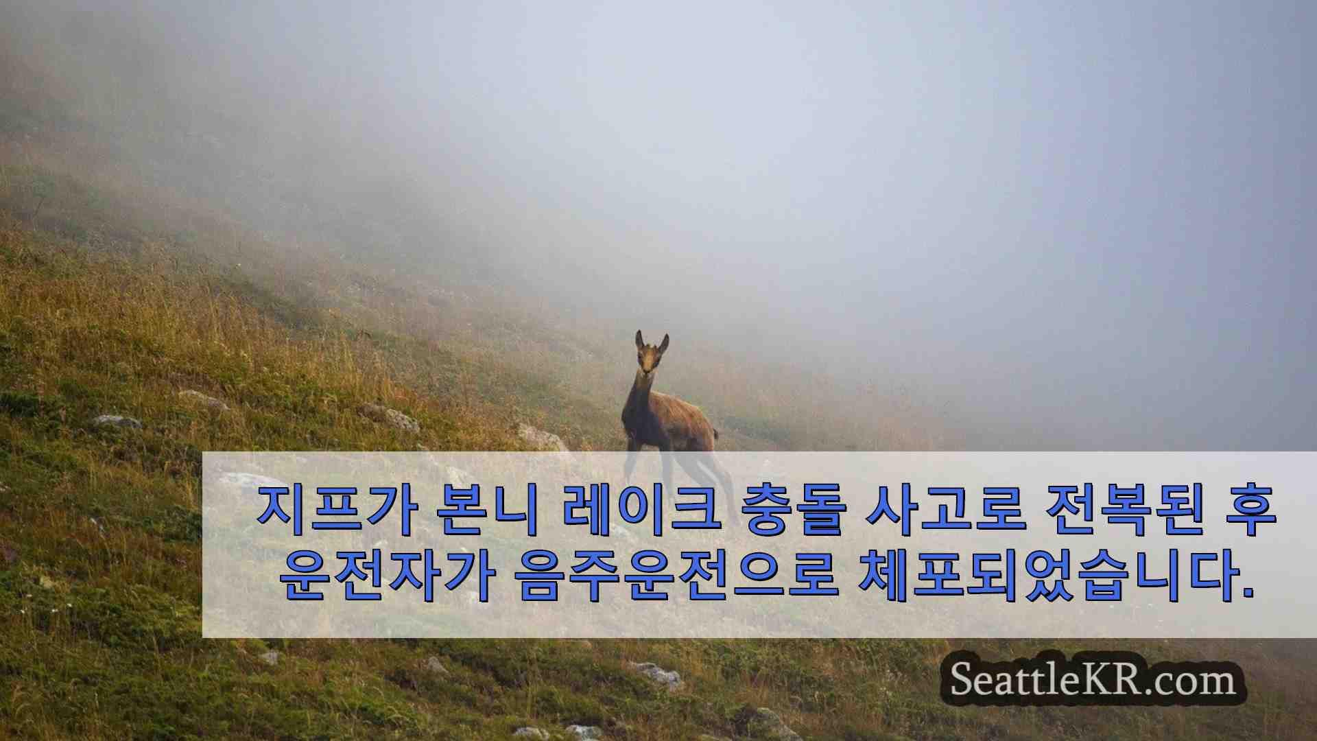 시애틀 뉴스 SeattleKR