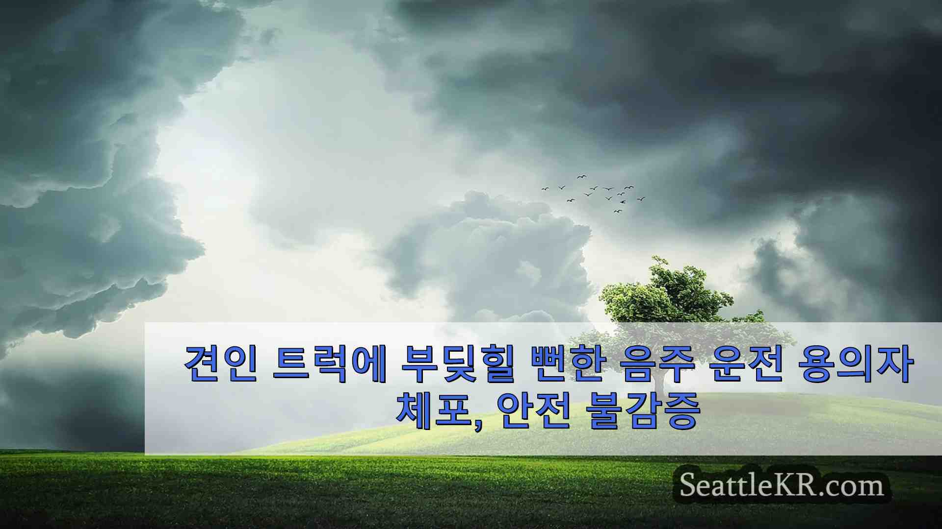 시애틀 뉴스 SeattleKR