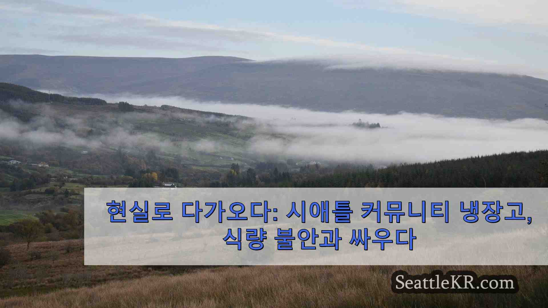 시애틀 뉴스 SeattleKR