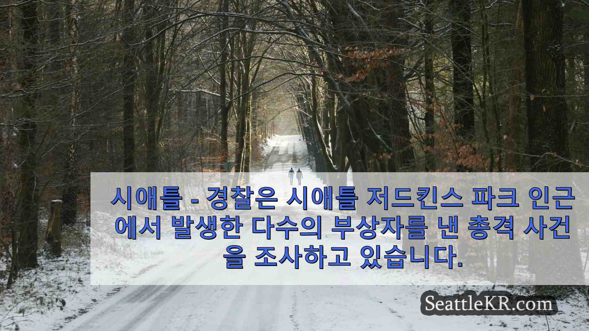 시애틀 총격전으로 여러 명이 부상당하다