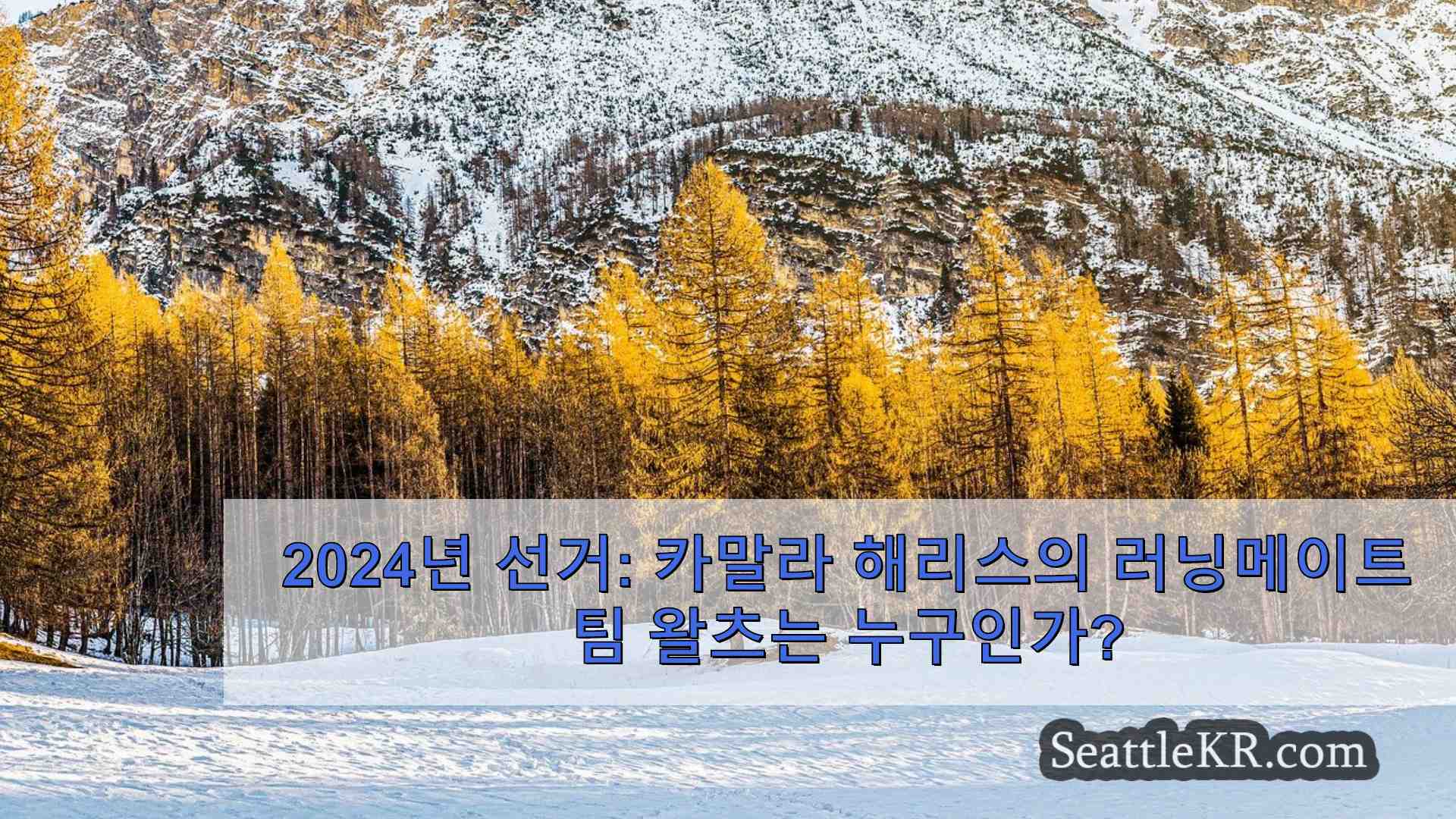 시애틀 뉴스 SeattleKR