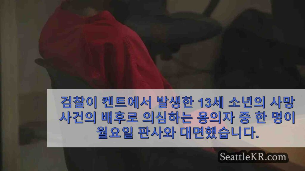18 세, 켄트 카메라 판매 중 십대 치명적 총격 사건에 대해 무죄를