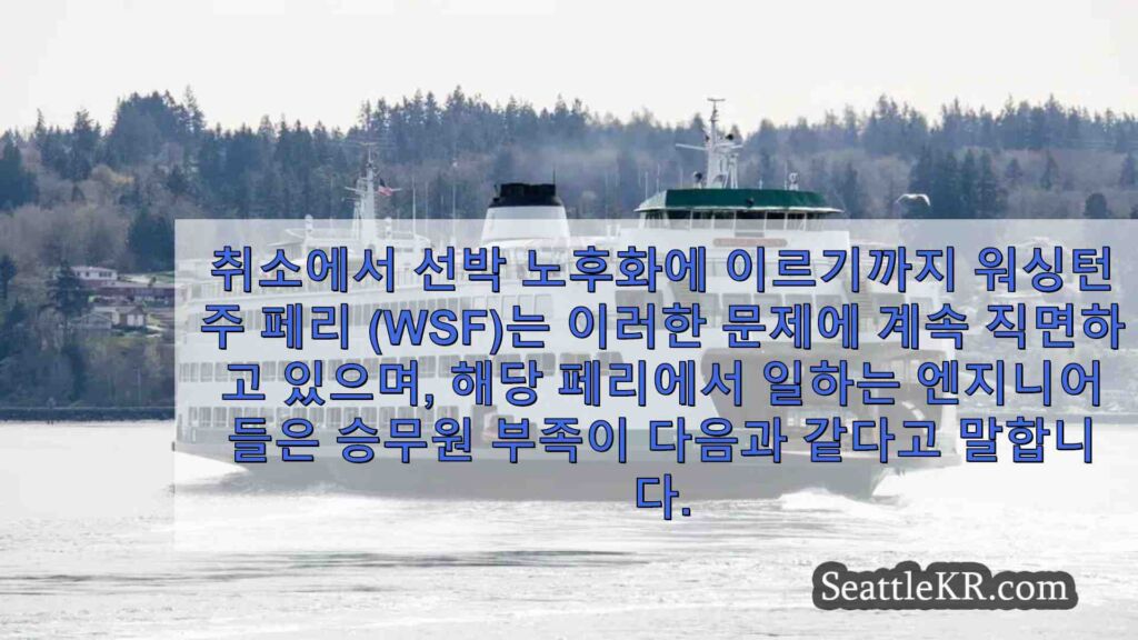 '인력이 부족합니다': 승무원 부족으로 어려움을 호소하는 페리 노동자