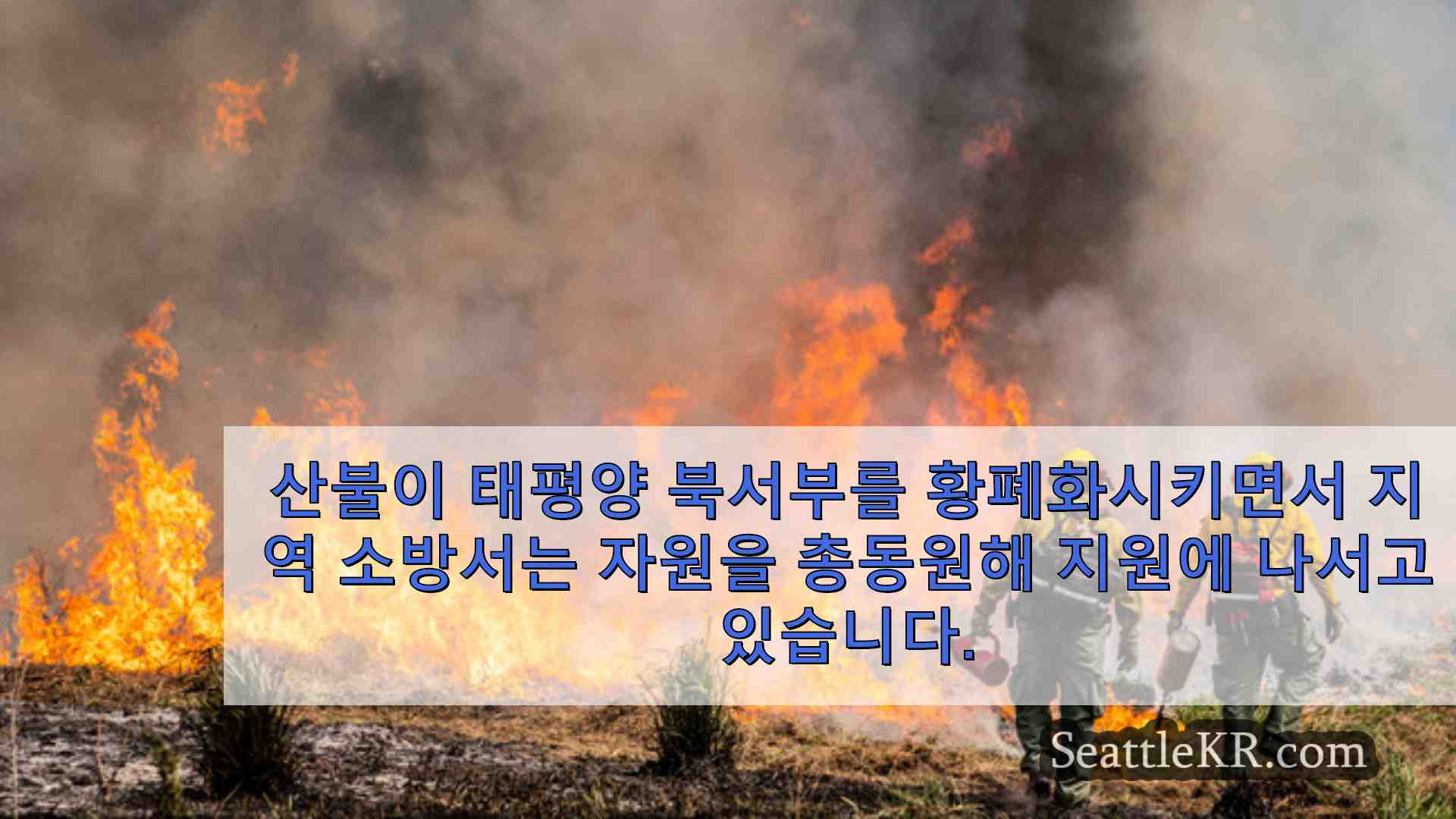 시애틀 뉴스 SeattleKR