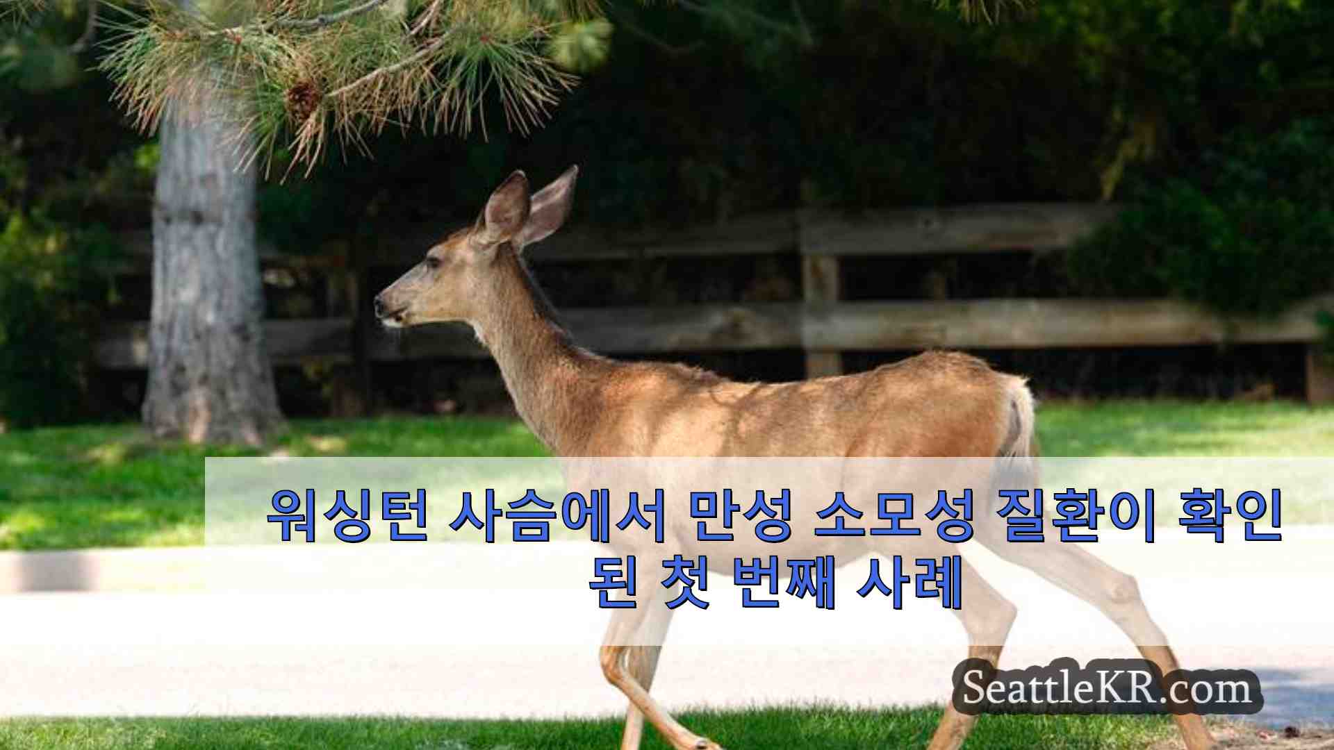 워싱턴 사슴에서 만성 소모성 질환이 확인 된 첫 번째 사례