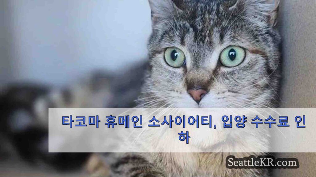 타코마 휴메인 소사이어티, 입양 수수료 인하