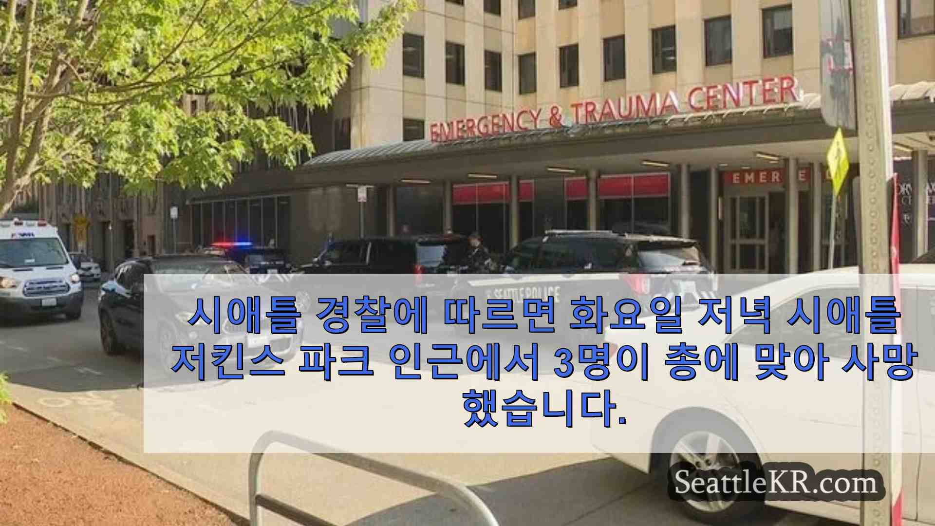 시애틀 뉴스 SeattleKR