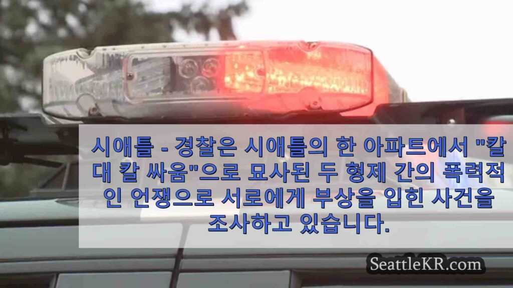 시애틀 아파트에서 '칼 대 칼 전투' 후 체포된 형제들