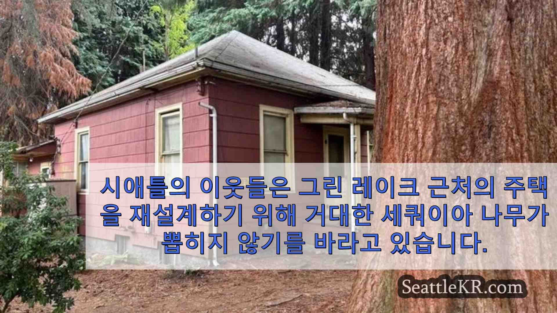 시애틀 뉴스 SeattleKR