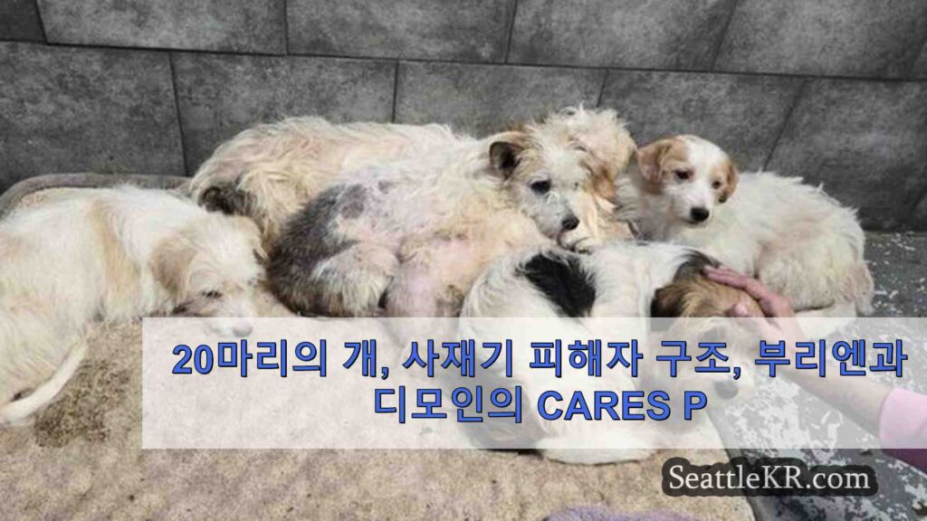20 마리의 개, 사재기 피해자 구조, 부리 엔과 디모인의 CARES가