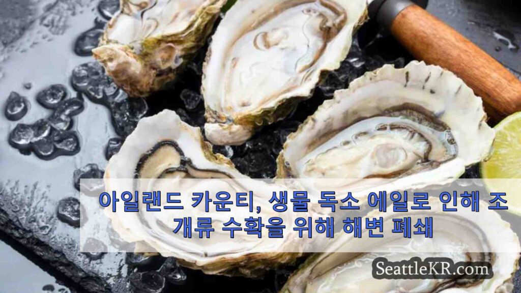 아일랜드 카운티, 생물 독소 경보로 조개 채취를 위해 해변 폐쇄