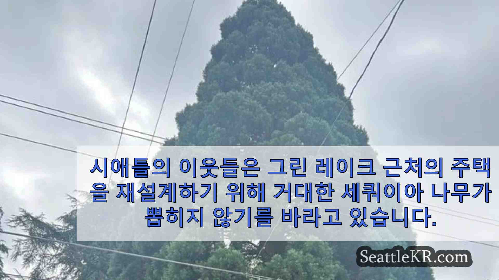 시애틀 뉴스 SeattleKR