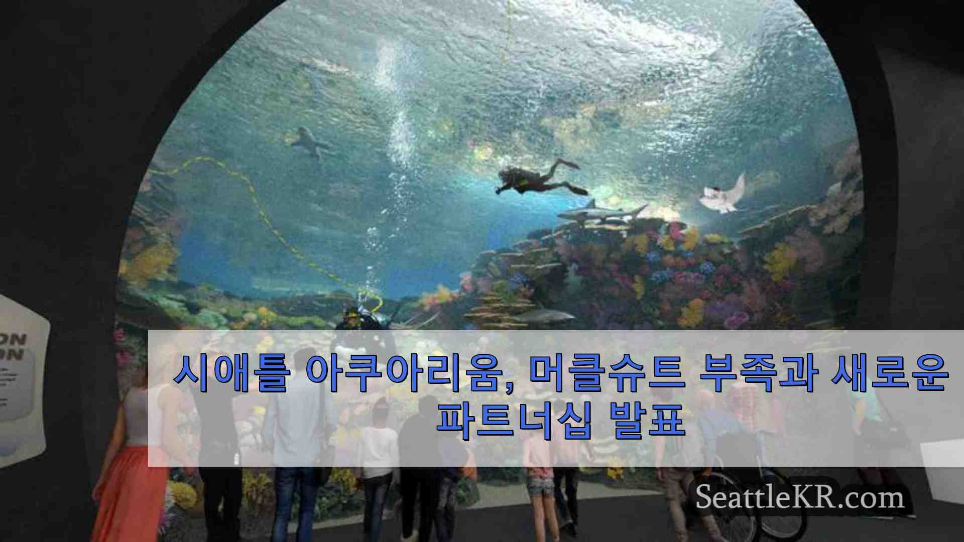 시애틀 아쿠아리움 머클슈트 부족과 새로운 파트너십 발표