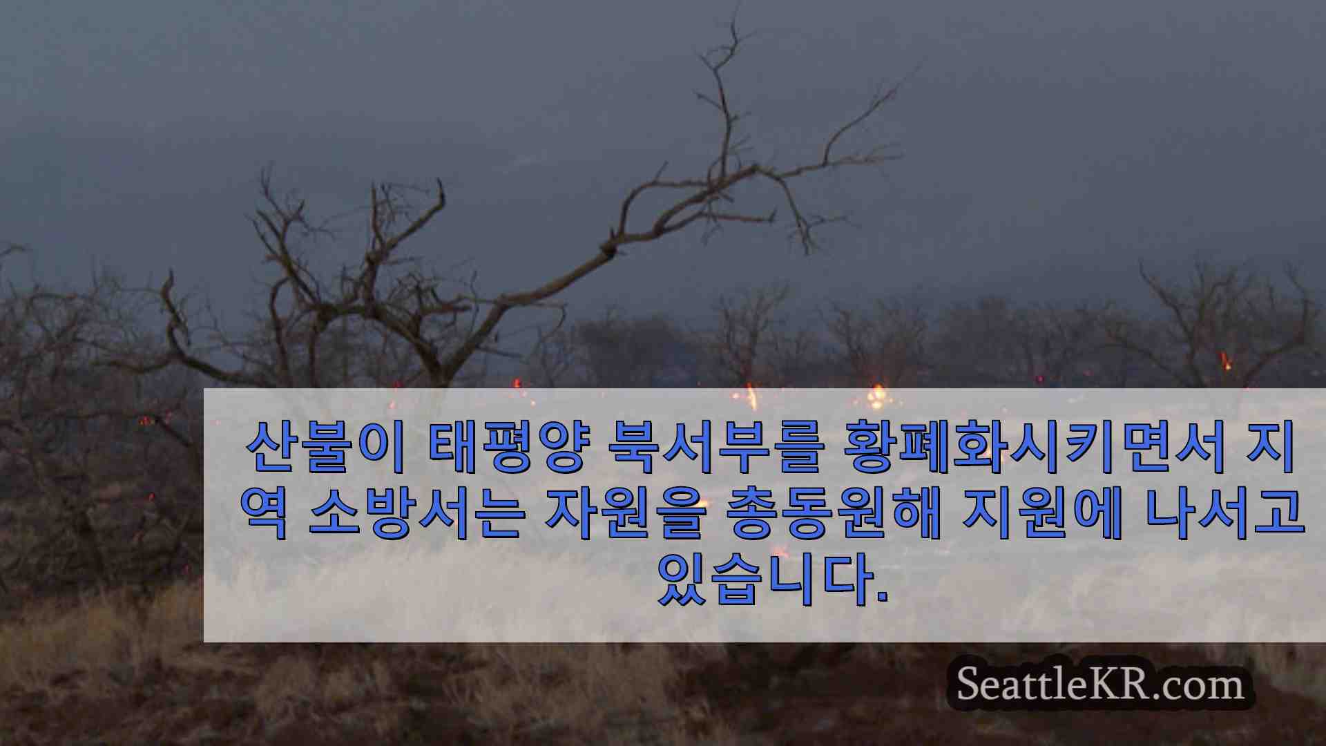 시애틀 뉴스 SeattleKR