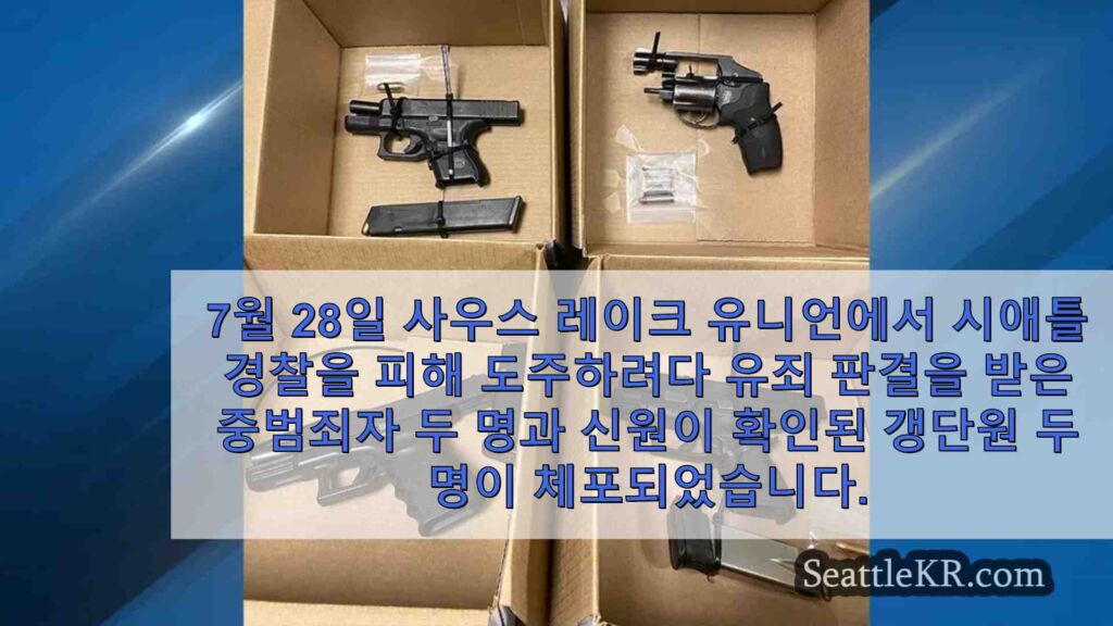 무장 중범죄자, 시애틀에서 훔친 차량으로 체포된 갱단원들
