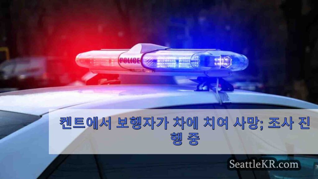 켄트에서 보행자가 차에 치여 사망; 조사 진행 중