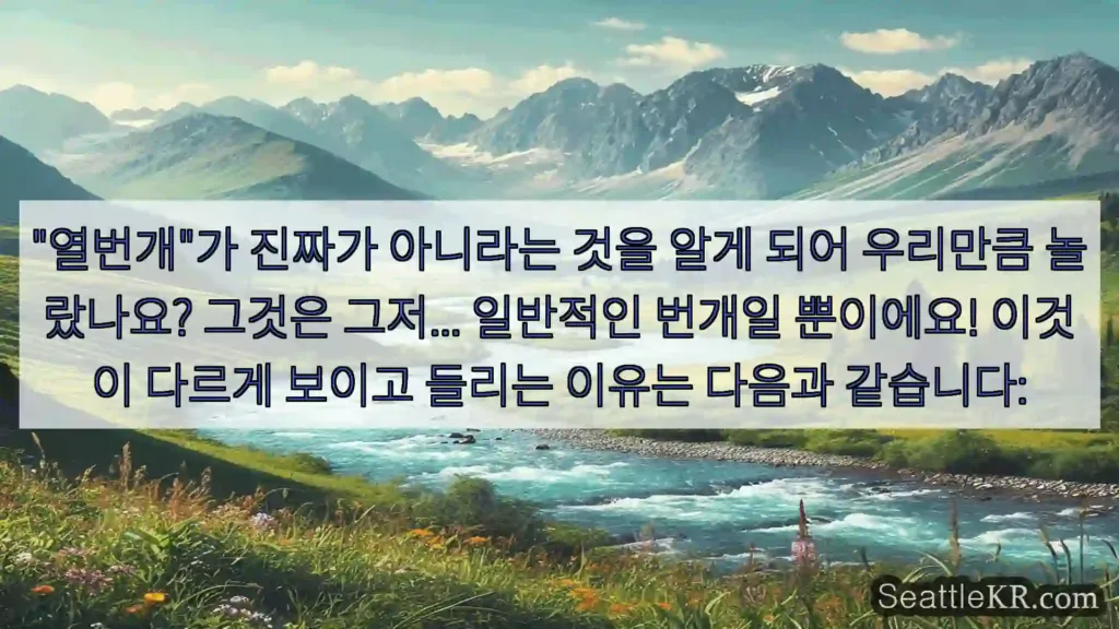 시애틀 뉴스 "열번개"가 진짜가 아니라는 것을 알게 되어 우리만큼