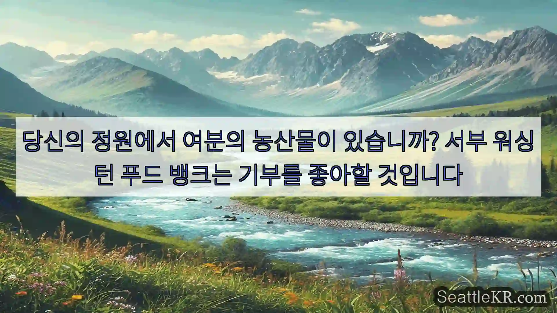 시애틀 뉴스 당신의 정원에서 여분의 농산물이 있습니까? 서부 워싱턴 푸드