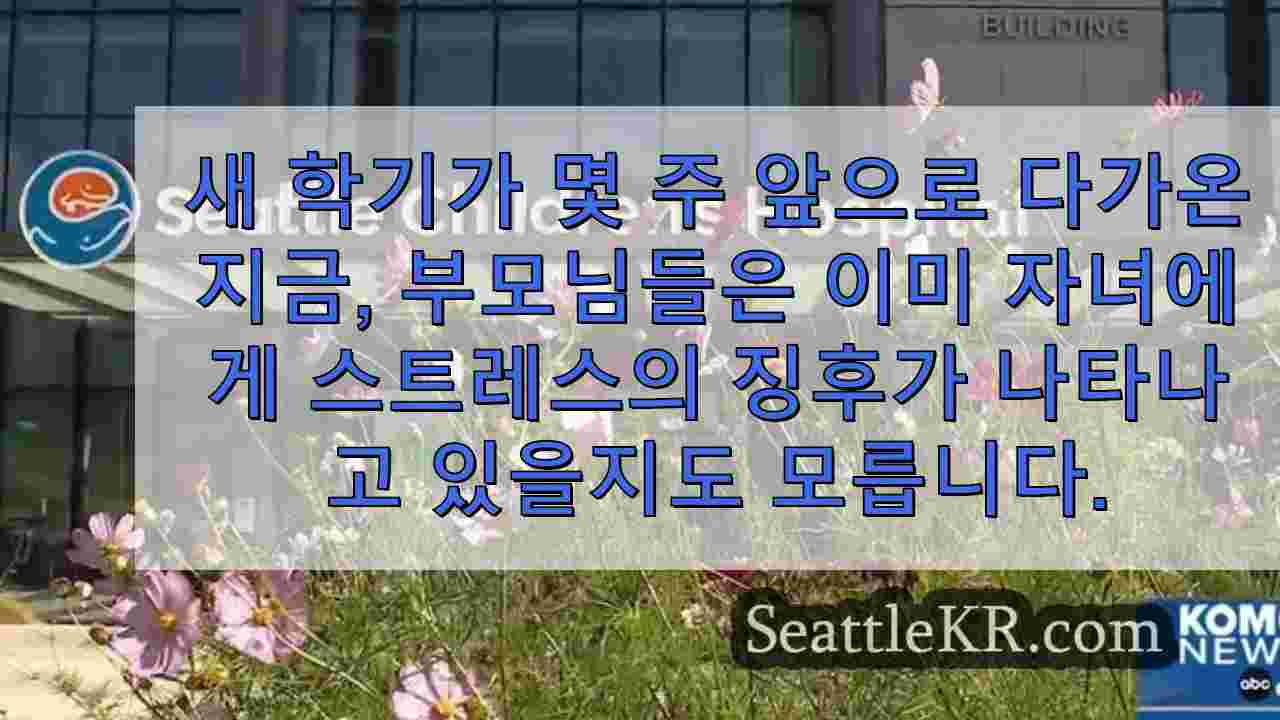 시애틀 뉴스 SeattleKR