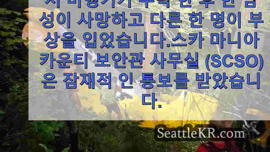 스카 마니아 카운티에서 비행기 추락 후 승객 사망, 조종사 부상