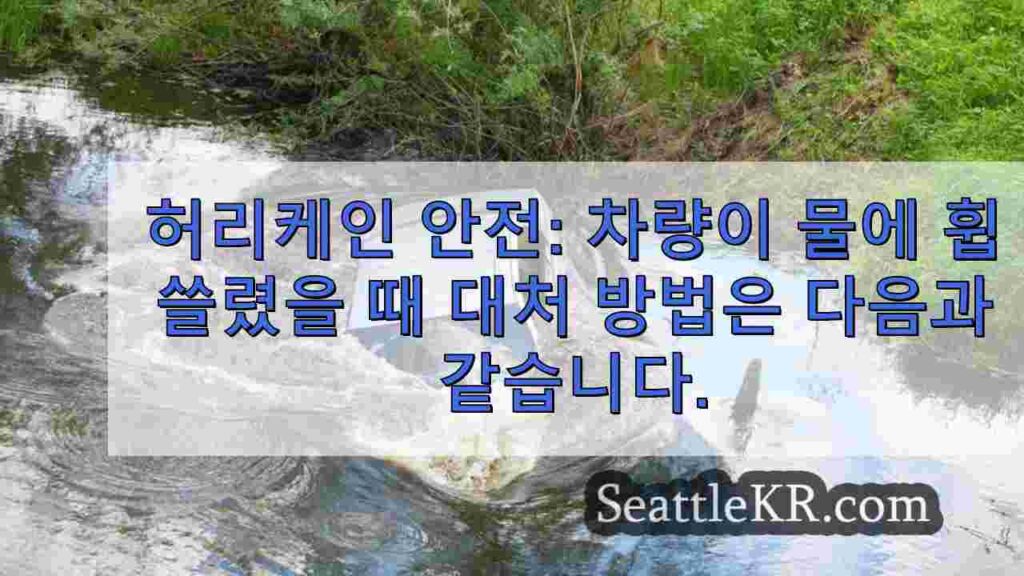 허리케인 안전: 차량이 물에 휩쓸렸을 때 대처 방법은 다음과 같습니다.