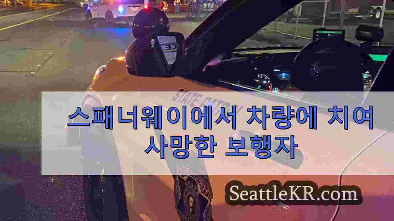 스패너웨이에서 차량에 치여 사망한 보행자