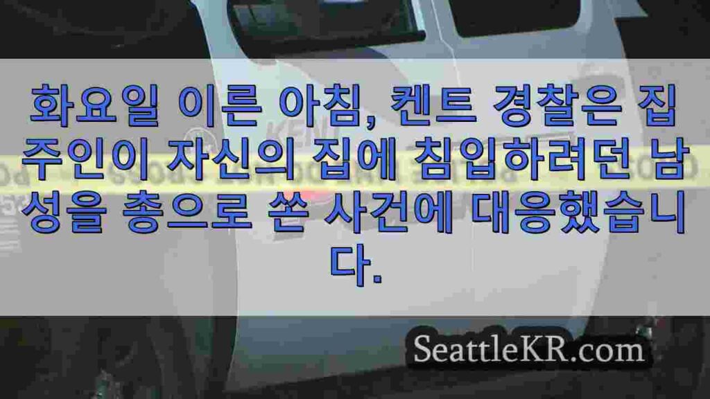 '가족을 지켜야 한다': 켄트 집주인이 침입 중 도둑을 쏜다