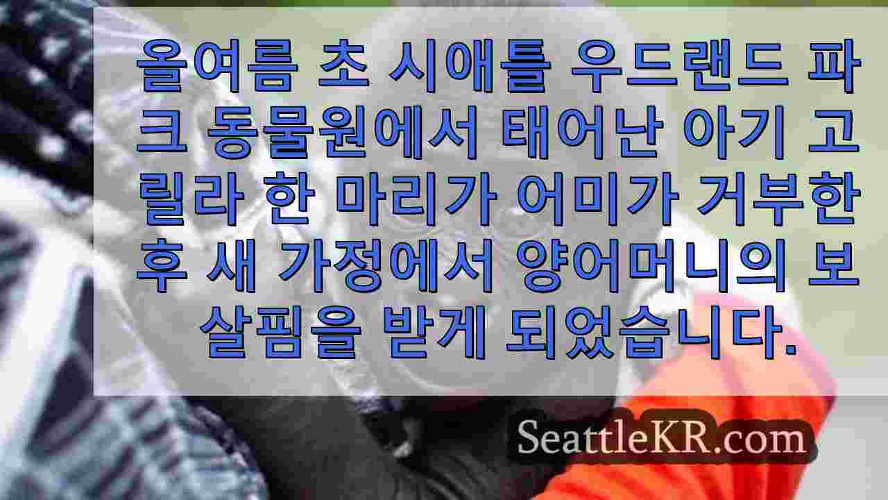 시애틀 뉴스 SeattleKR