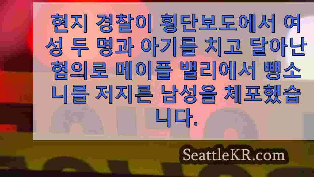 메이플 밸리 뺑소니 폭행 혐의로 기소된 남성, 비영리 단체는 이를 증오