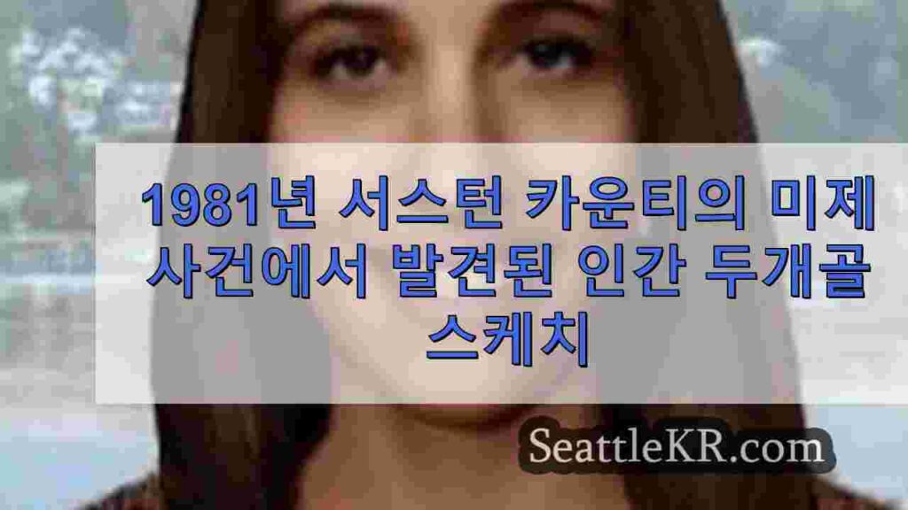 1981년 서스턴 카운티의 미제 사건에서 발견된 인간 두개골 스케치
