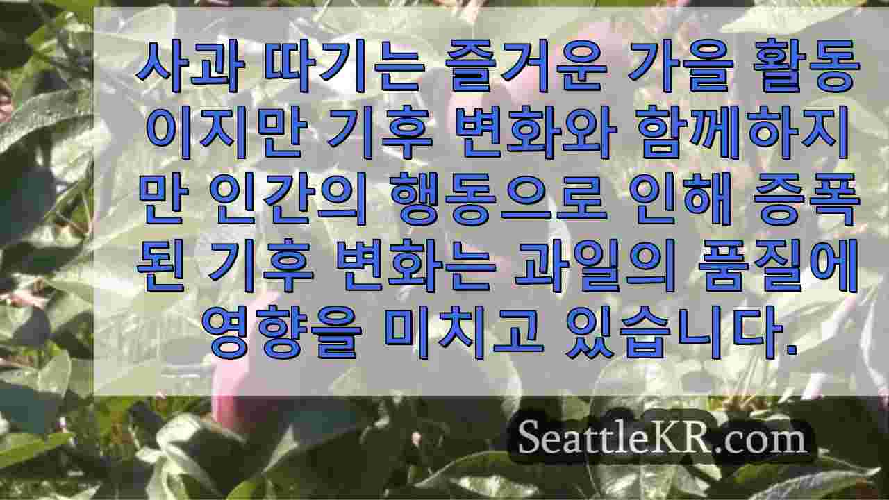 시애틀 뉴스 SeattleKR