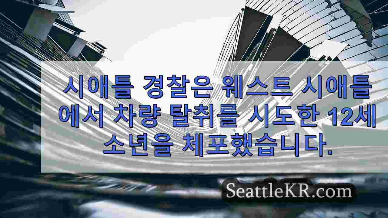 시애틀 뉴스 SeattleKR